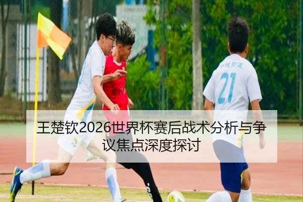 王楚钦2026世界杯赛后战术分析与争议焦点深度探讨