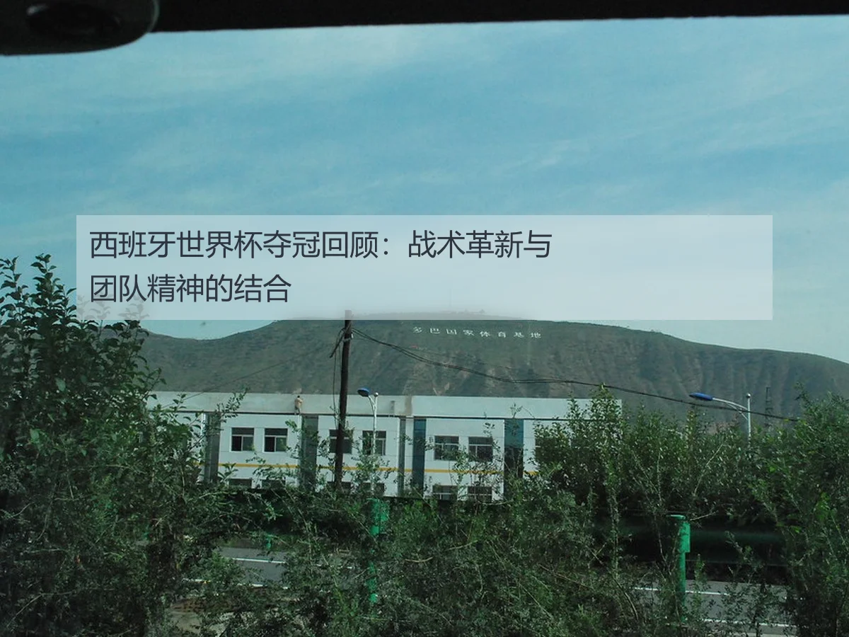西班牙世界杯夺冠回顾：战术革新与团队精神的结合